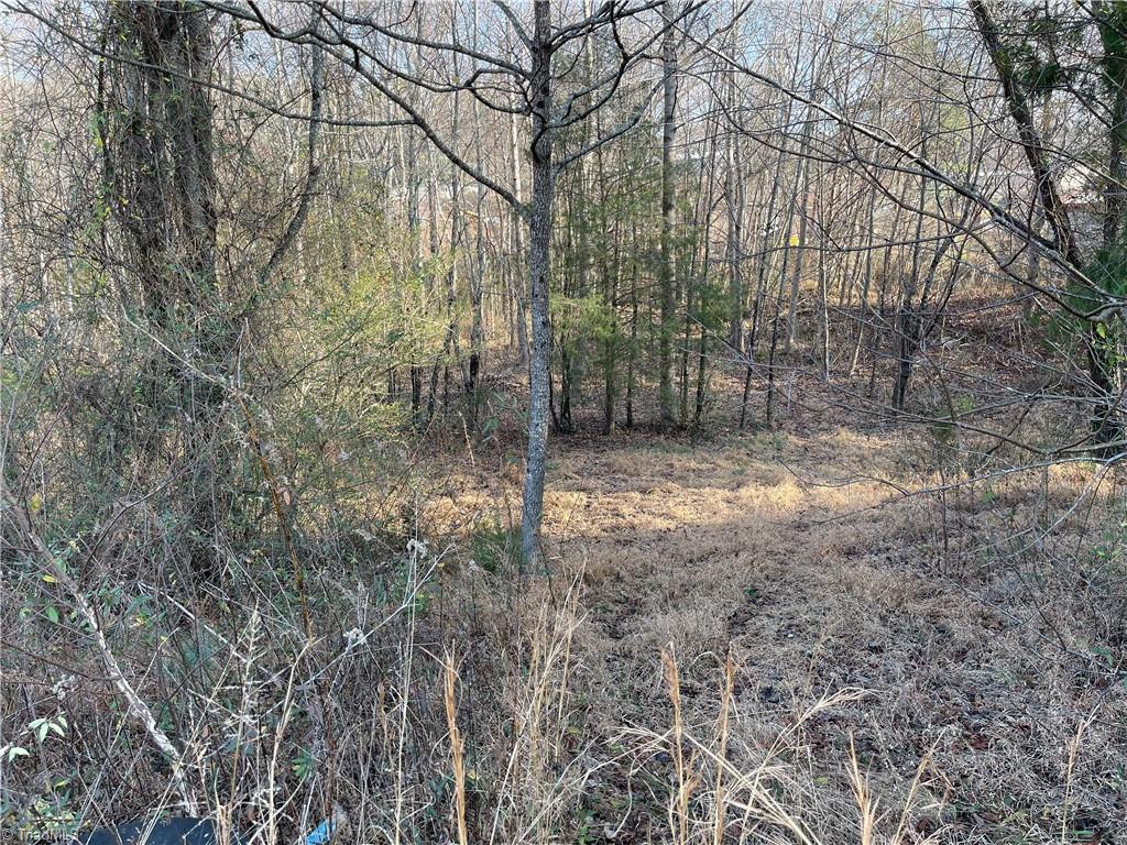 2.79-ac Calloway Road King, NC 27021 - Photo 13 of 16