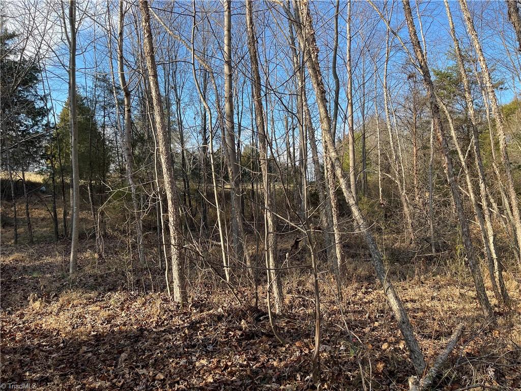 2.79-ac Calloway Road King, NC 27021 - Photo 14 of 16