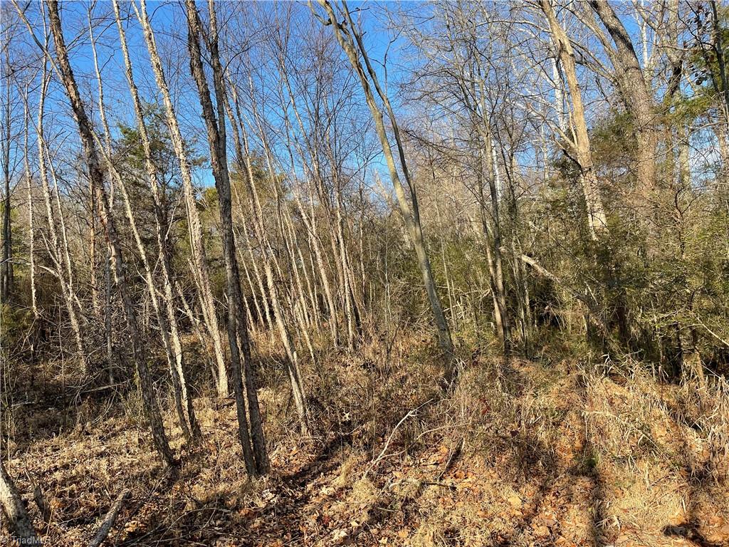 2.79-ac Calloway Road King, NC 27021 - Photo 15 of 16