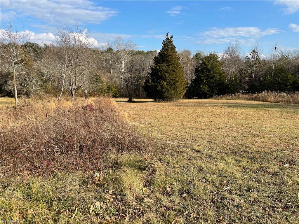 2.79-ac Calloway Road King, NC 27021 - Photo 4 of 16