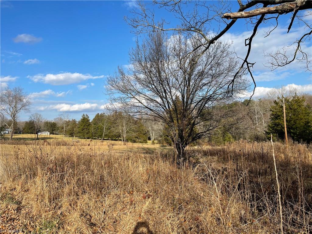 2.79-ac Calloway Road King, NC 27021 - Photo 5 of 16