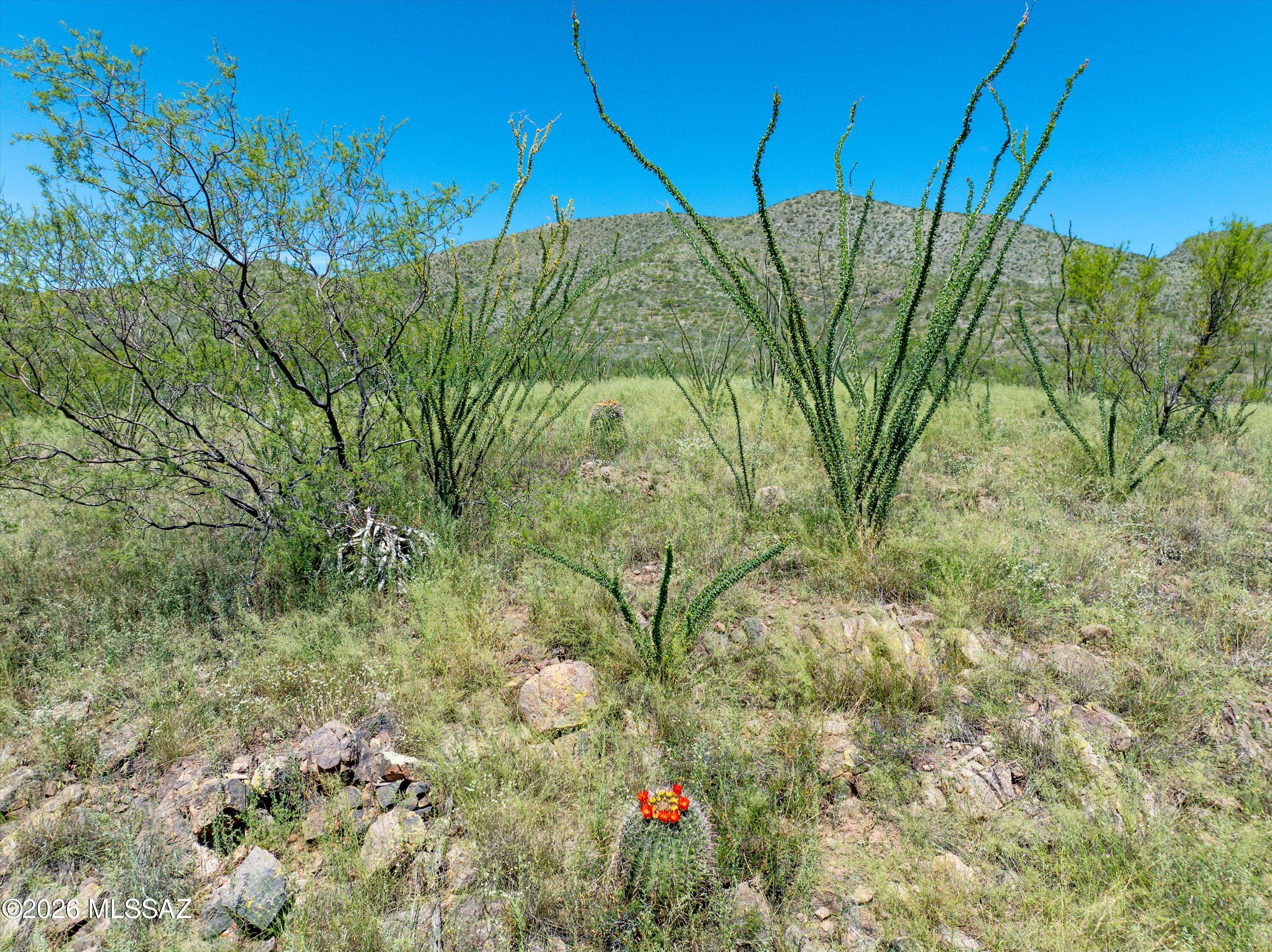 East Hillton Ranch Road Vail, AZ 85641 - Photo 4 of 34 28-hilton-v2-27