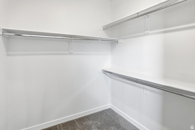1838 West 300th Street South, Unit B Mapleton, UT 84664 - Photo 23 of 51 White walk-in closet featuring built-in shelving, chrome hanging rods, and gray carpet flooring