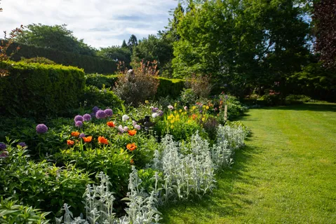 a view of a garden
