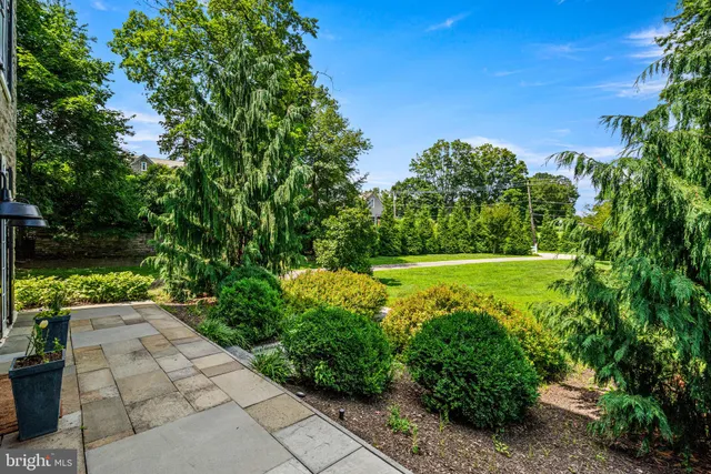 a view of a garden with a swimming pool