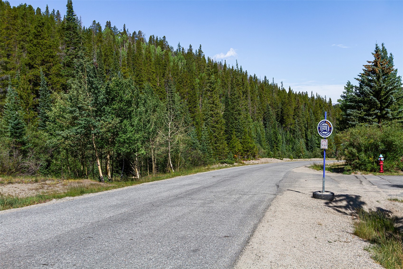 304 Illinois Gulch Road, Unit 204 Breckenridge, CO 80424 - Photo 11 of 13 a view of a street with a park