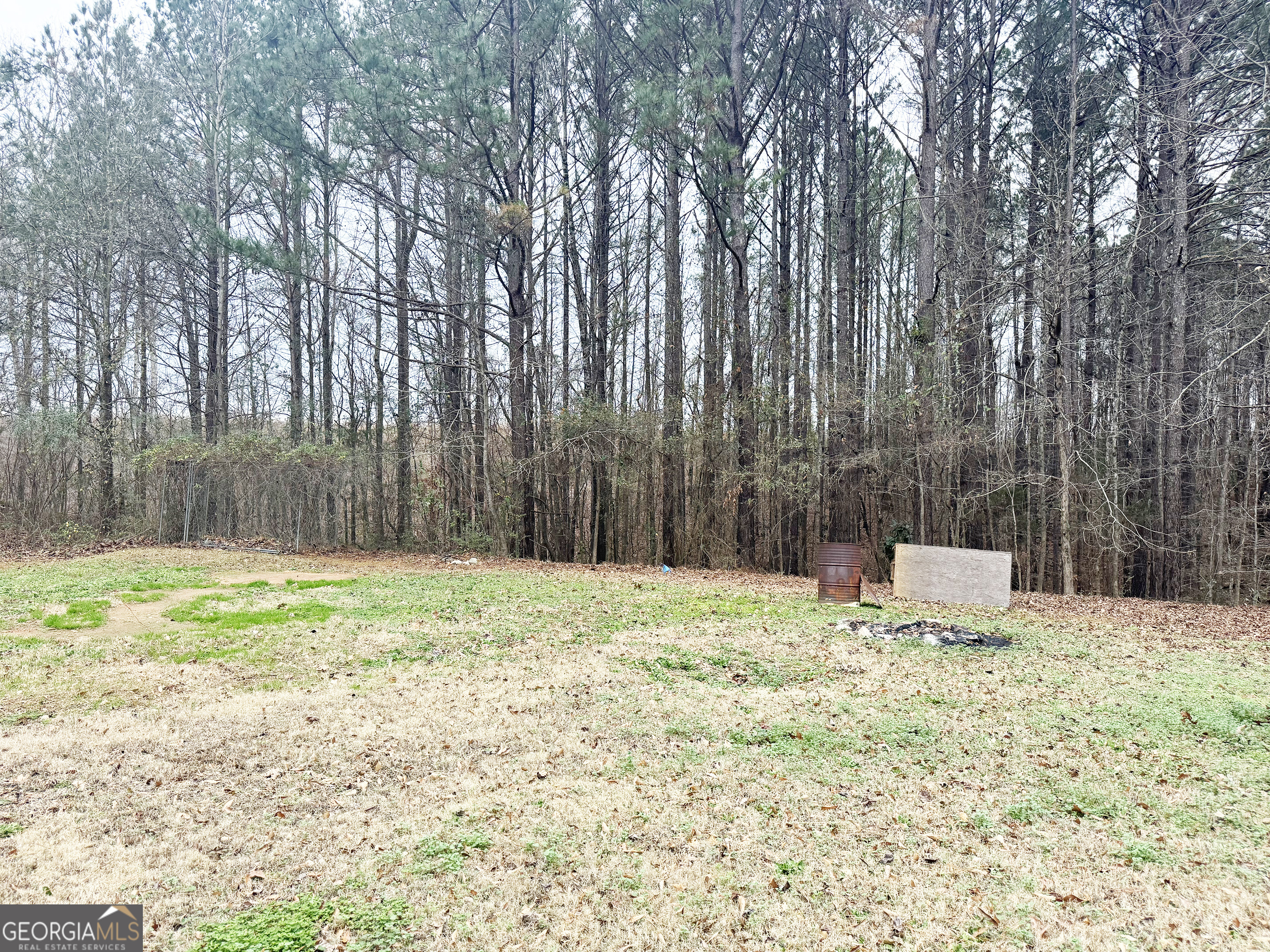 314 Hickory Road Jackson, GA 30233 - Photo 23 of 23 a fire hydrant in the middle of a yard