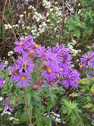 $45,000 | 136 John Street, Kingston, NY 12401