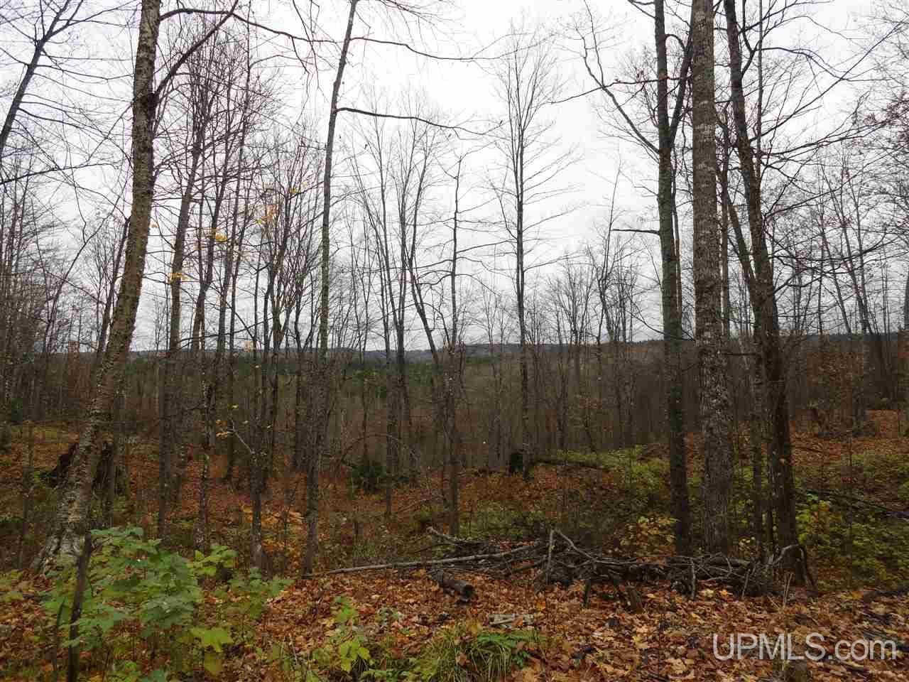 80-acres Co Rd Gga (aka Red Road Champion, MI 49849 - Photo 20 of 26