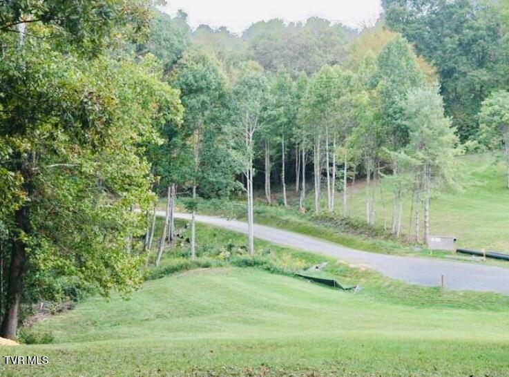 Lot 37 Draft Road, Unit 37 Butler, TN 37640 - Photo 7 of 23 IMG_2298