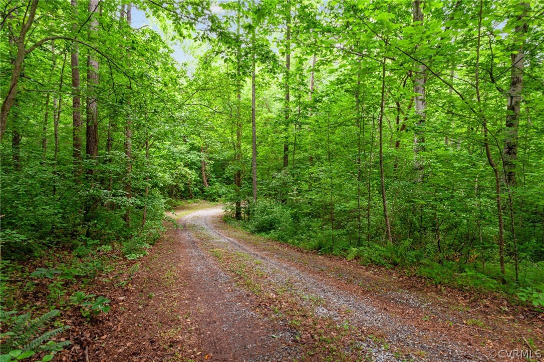 1692 Miller Lk Road Rice, VA 23966 - Photo 35 of 35 a view of a yard with a plants and trees
