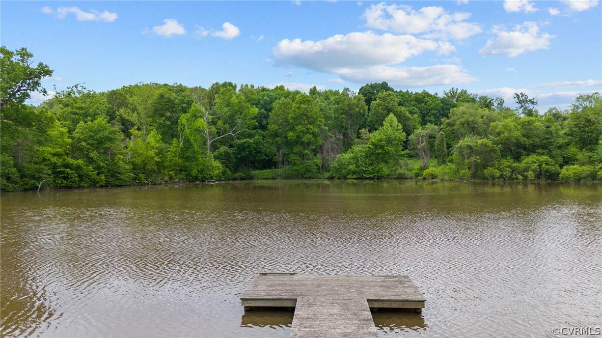 1692 Miller Lk Road Rice, VA 23966 - Photo 5 of 35 a view of a lake with houses