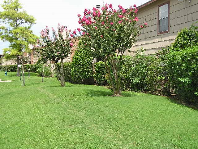 9101 Country Creek Street, Unit 403 Houston, TX 77074 - Photo 6 of 11 a view of a park with a tree