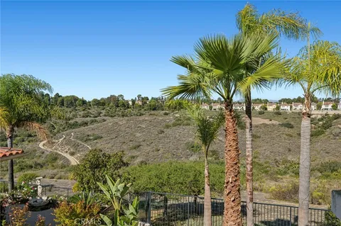 a view of a palm tree with a big yard