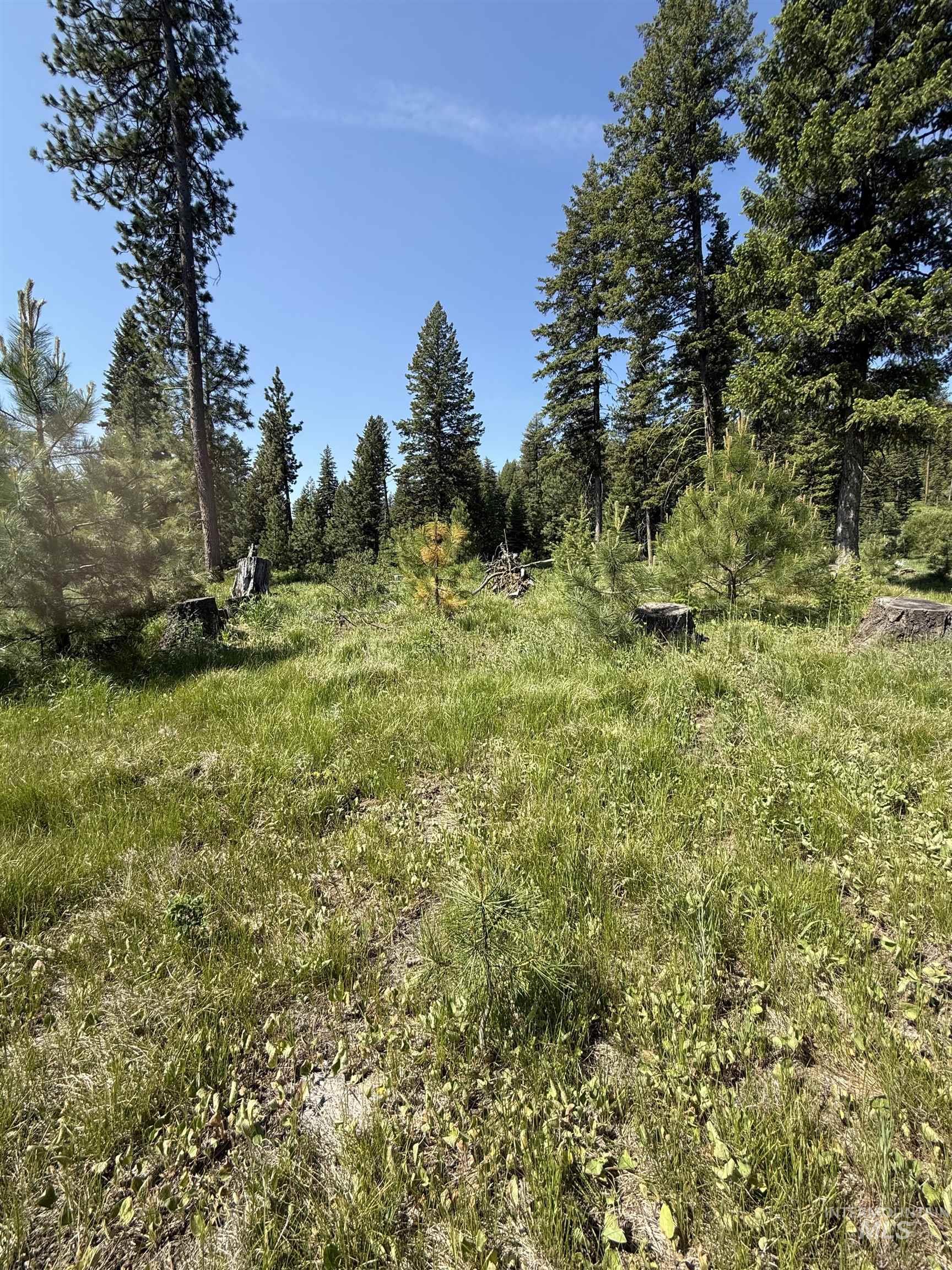 48 Bella View Drive McCall, ID 83638 - Photo 11 of 14 View of undeveloped land