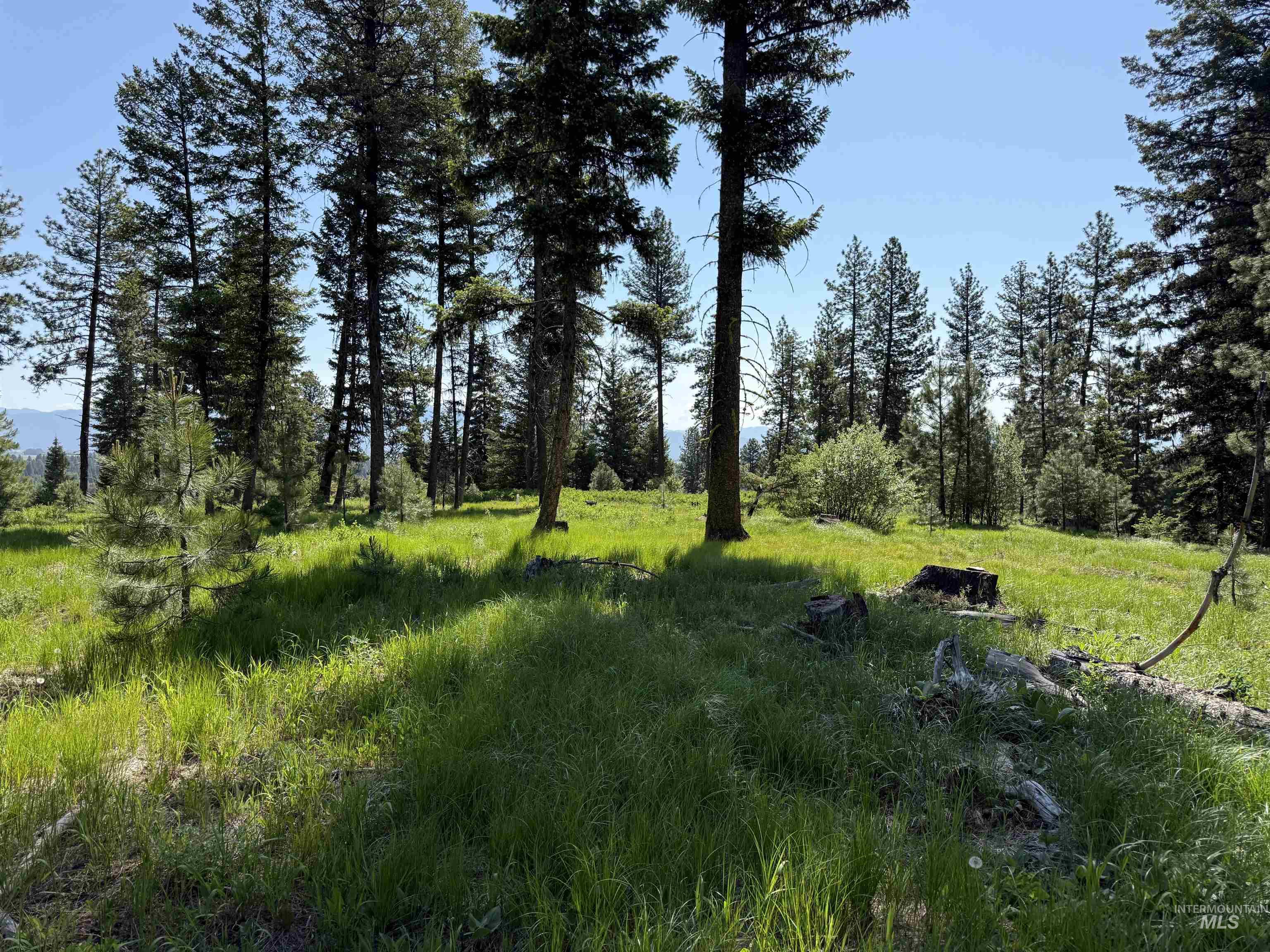 48 Bella View Drive McCall, ID 83638 - Photo 6 of 14 View of nature