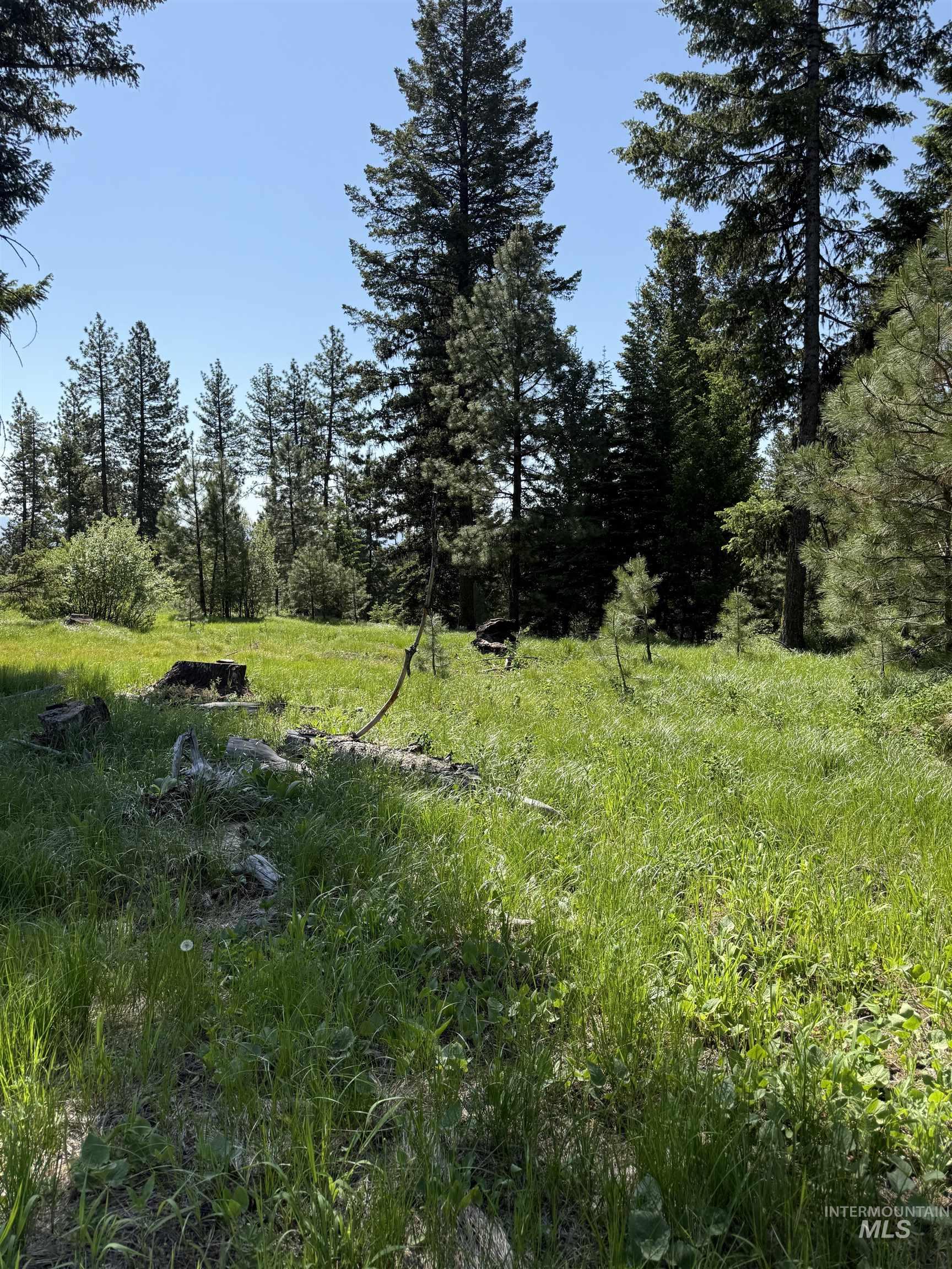 48 Bella View Drive McCall, ID 83638 - Photo 7 of 14 View of undeveloped land