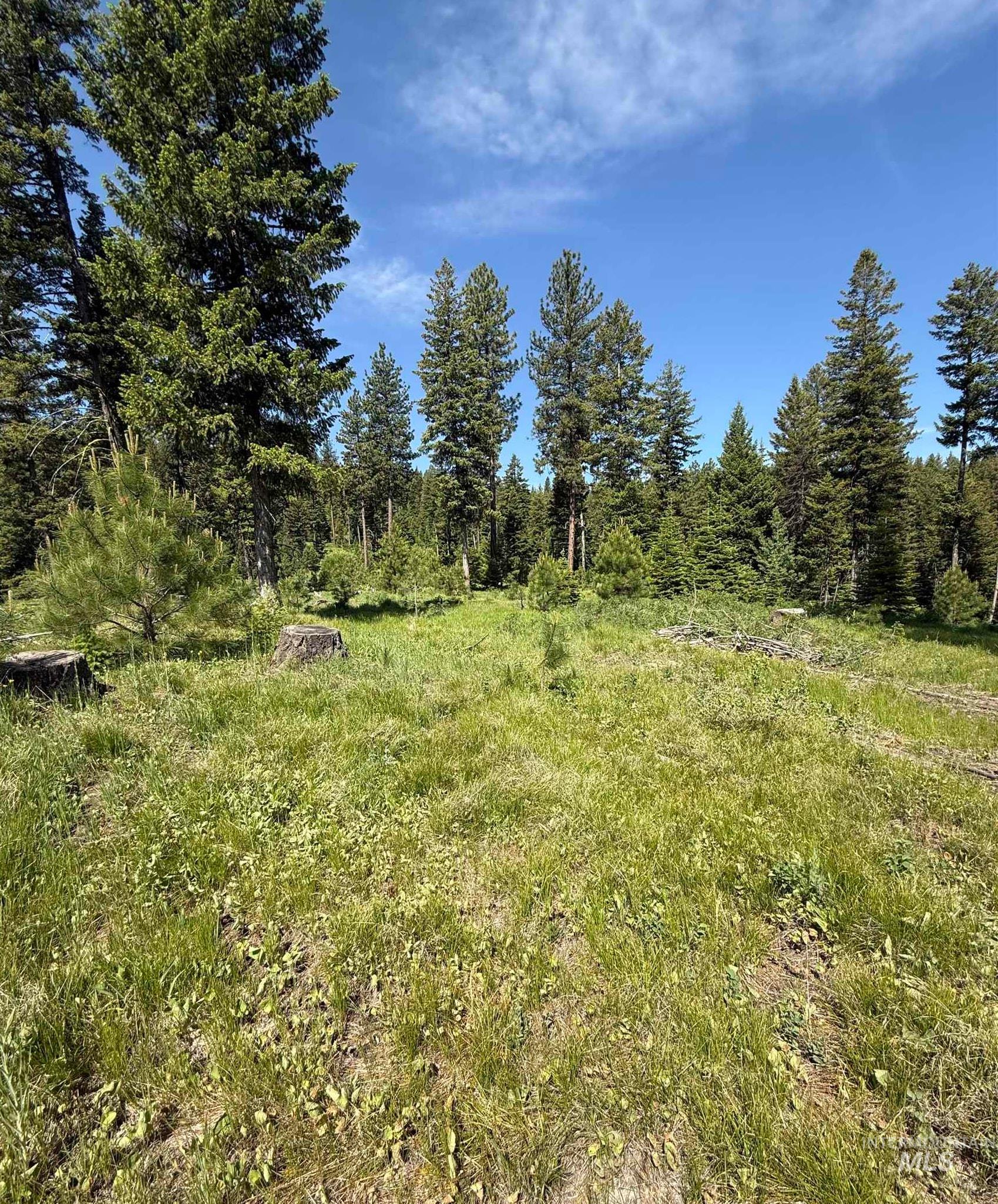 48 Bella View Drive McCall, ID 83638 - Photo 10 of 14 View of undeveloped land