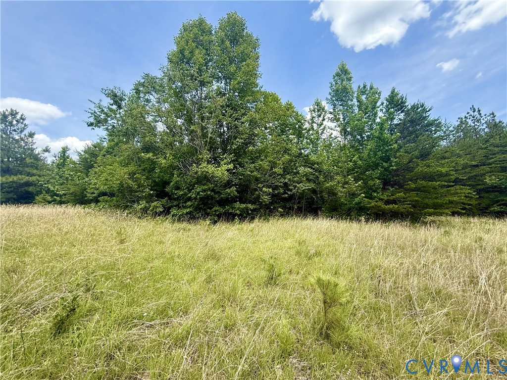 Lot 26 Whispering Wood Road Meherrin, VA 23954 - Photo 4 of 10