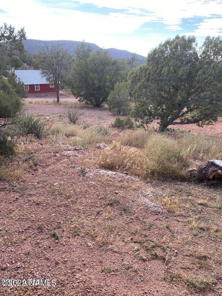 491 Cowper Road Ash Fork, AZ 86320 - Photo 46 of 86 20211020171402929950000000-o