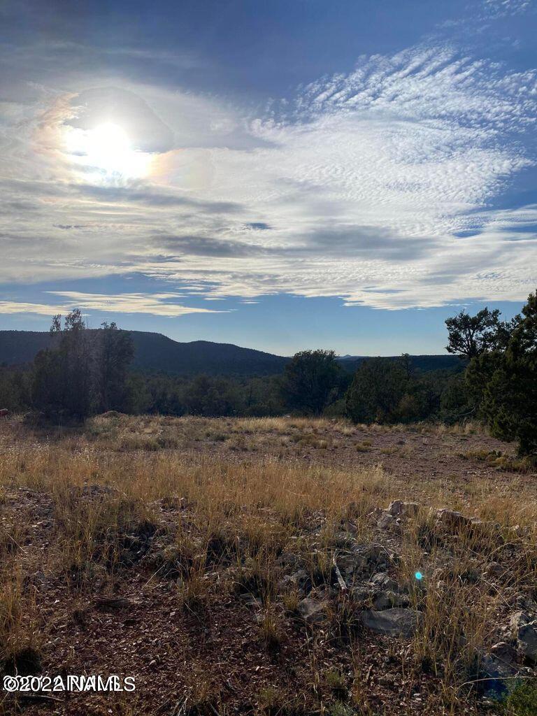 491 Cowper Road Ash Fork, AZ 86320 - Photo 49 of 86 20211020171417117698000000-o