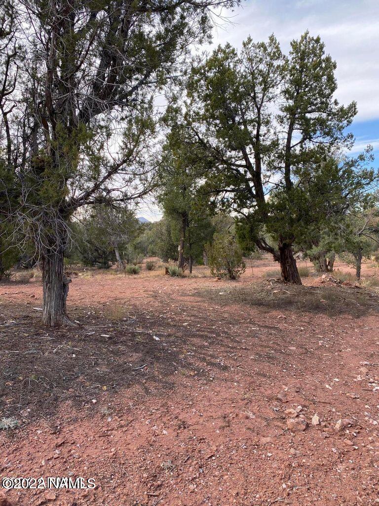 491 Cowper Road Ash Fork, AZ 86320 - Photo 54 of 86 20211020171457638769000000-o
