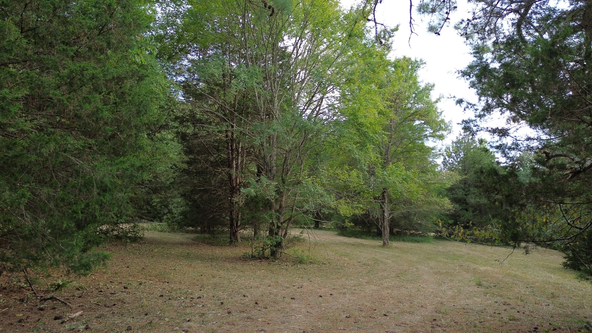2125 Whitson Bend Road Centerville, TN 37033 - Photo 18 of 44 Gallery Image 18