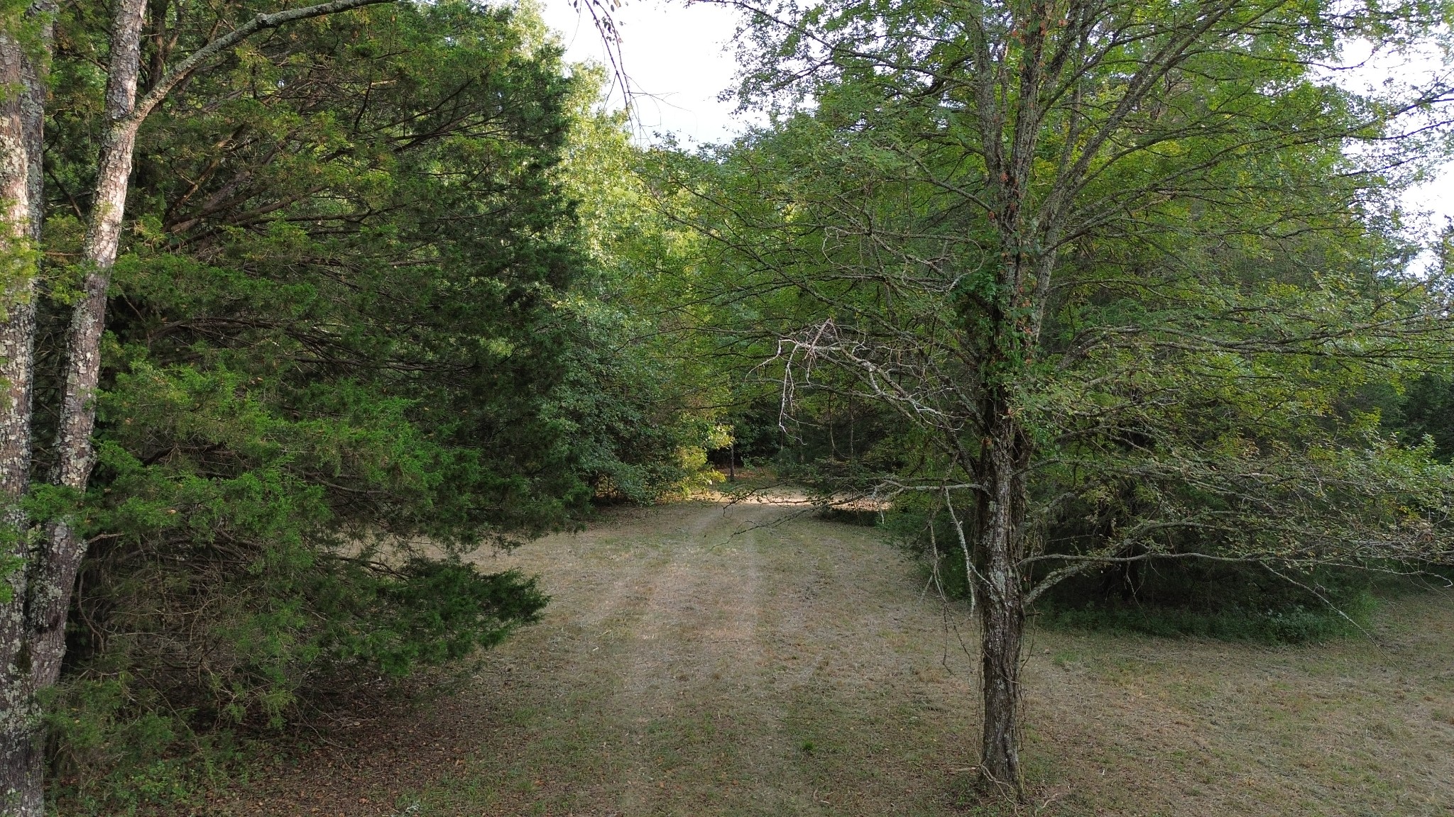 2125 Whitson Bend Road Centerville, TN 37033 - Photo 19 of 44 Gallery Image 19