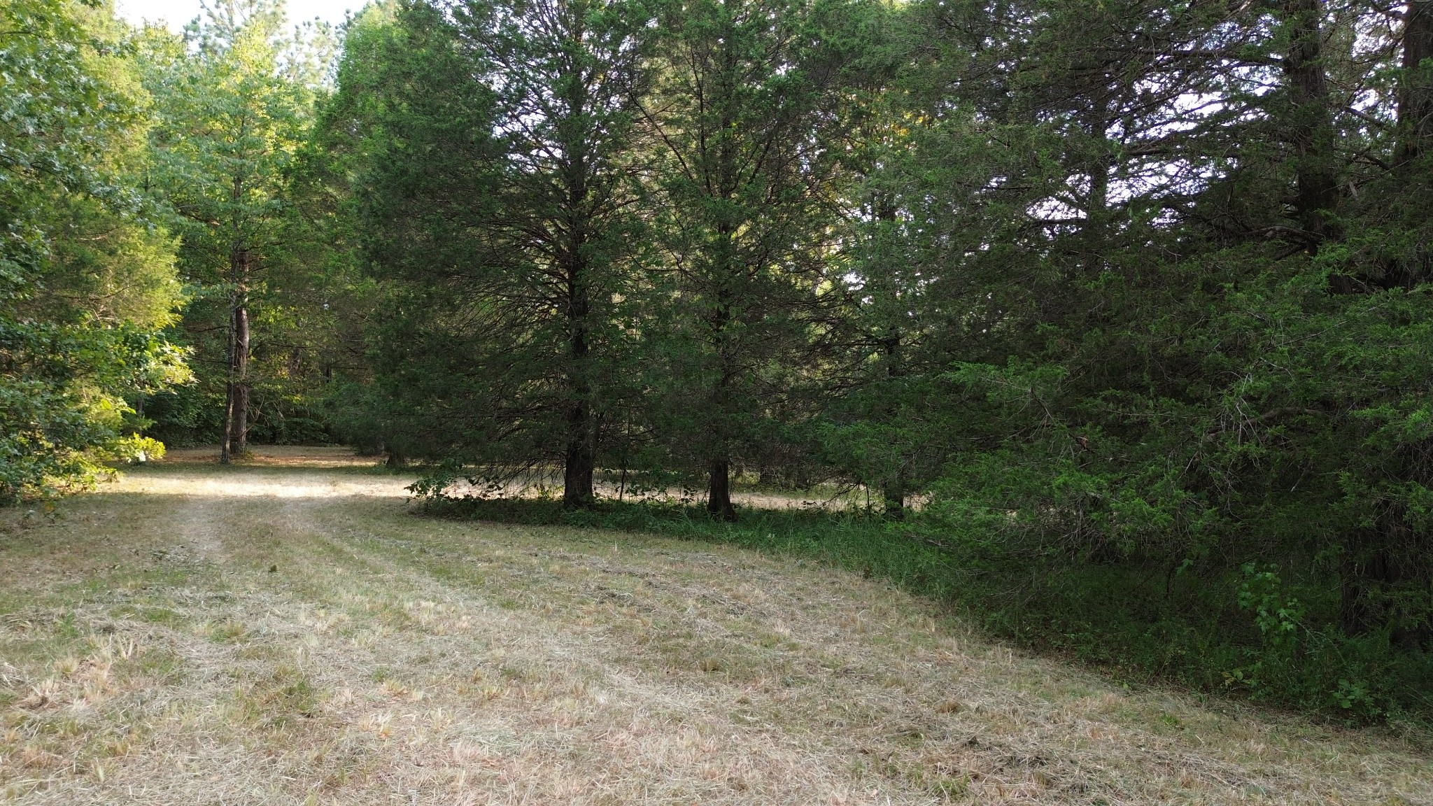 2125 Whitson Bend Road Centerville, TN 37033 - Photo 20 of 44 Gallery Image 20