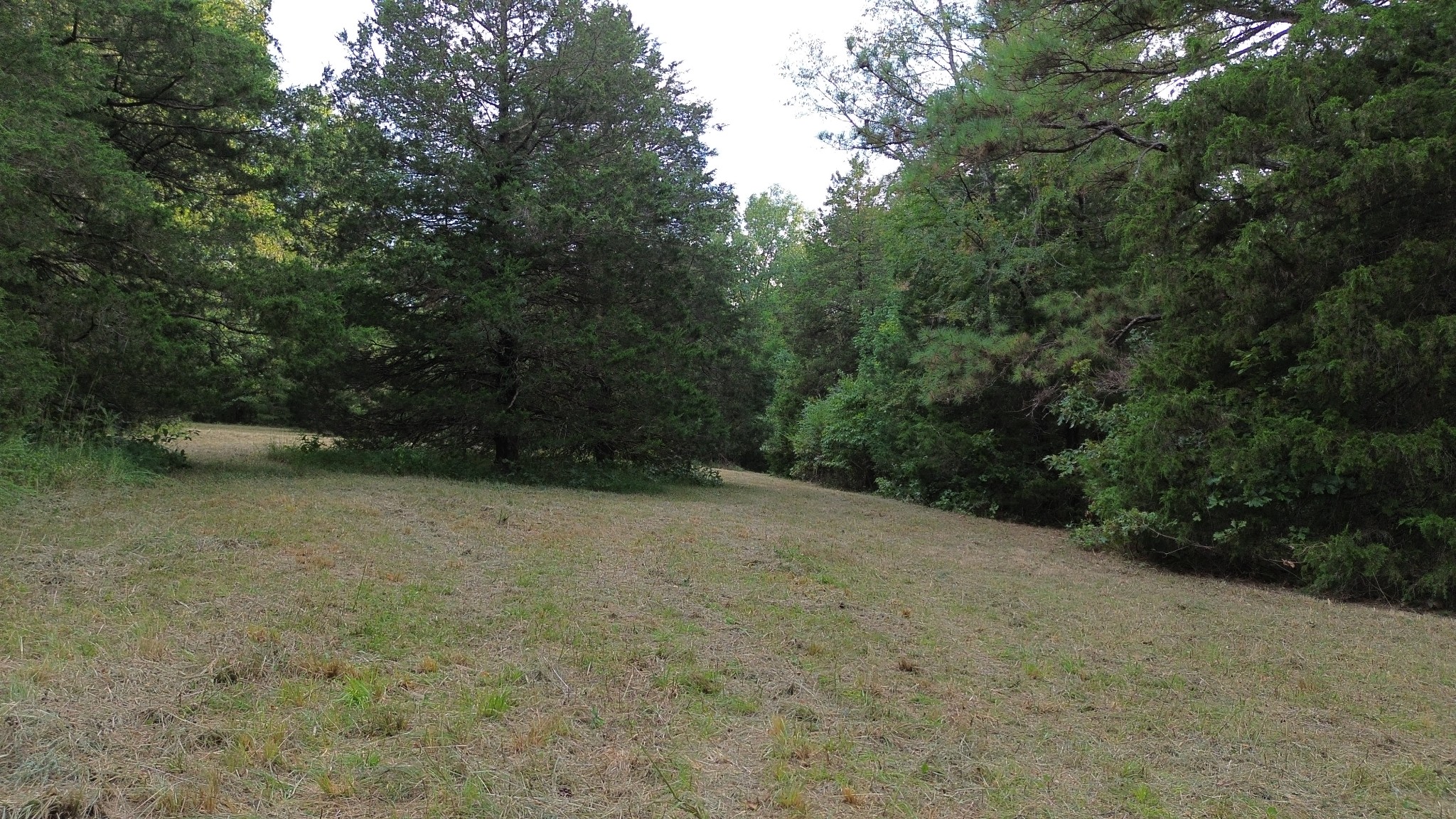 2125 Whitson Bend Road Centerville, TN 37033 - Photo 21 of 44 Gallery Image 21