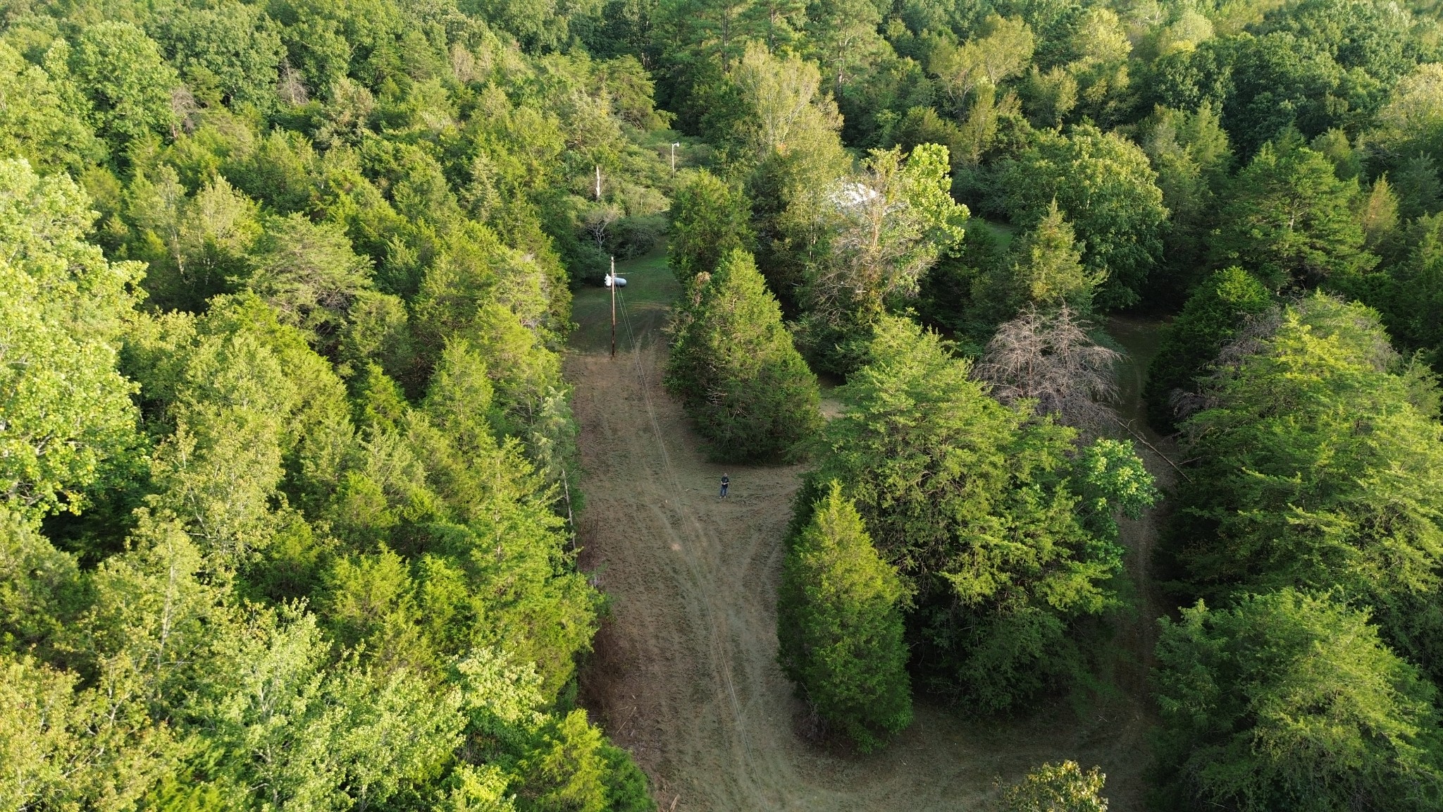 2125 Whitson Bend Road Centerville, TN 37033 - Photo 24 of 44 Gallery Image 24