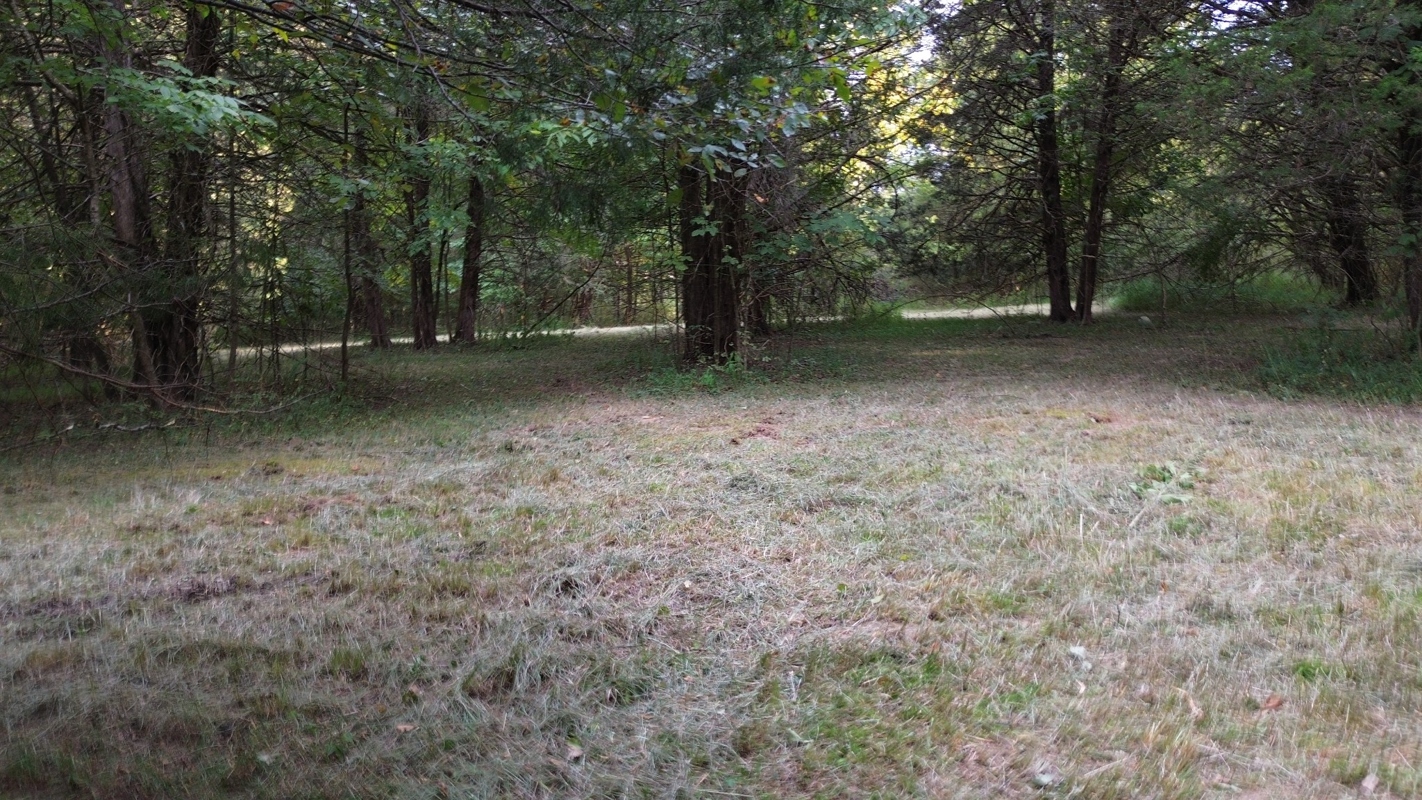2125 Whitson Bend Road Centerville, TN 37033 - Photo 26 of 44 Gallery Image 26