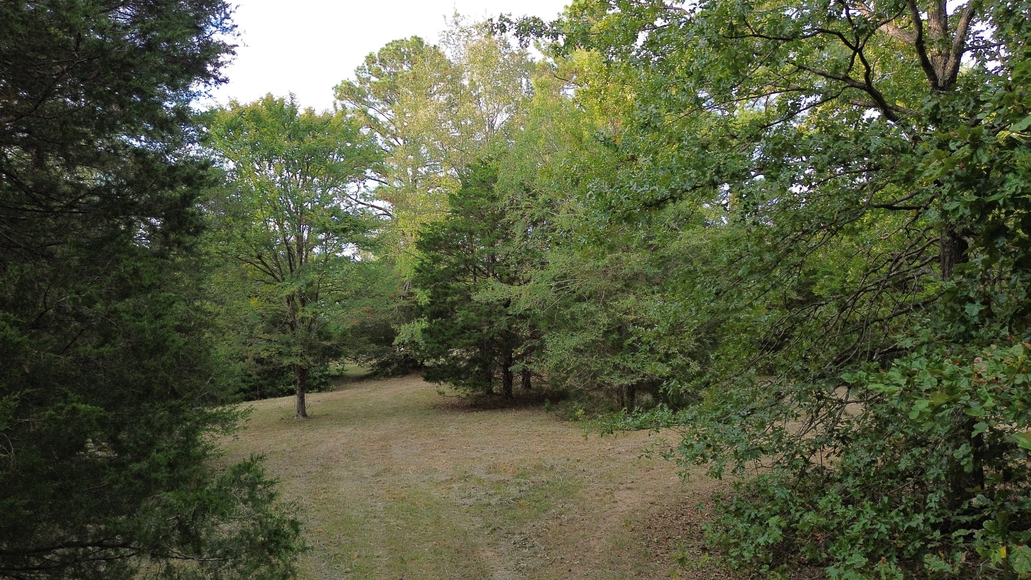 2125 Whitson Bend Road Centerville, TN 37033 - Photo 27 of 44 Gallery Image 27