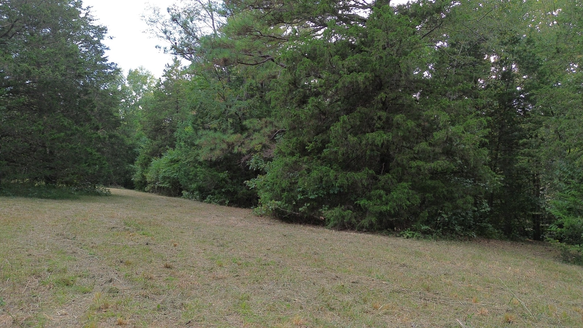 2125 Whitson Bend Road Centerville, TN 37033 - Photo 30 of 44 Gallery Image 30