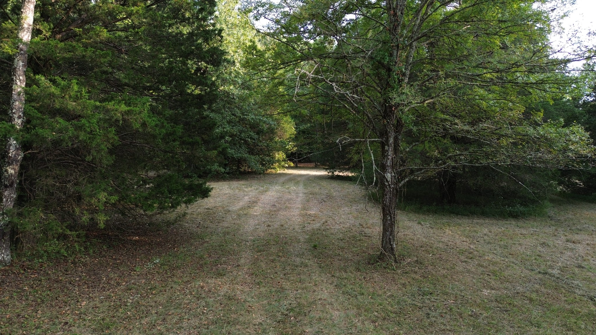 2125 Whitson Bend Road Centerville, TN 37033 - Photo 3 of 44 Gallery Image 3
