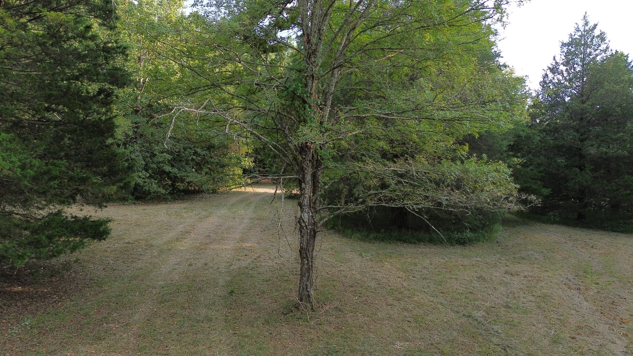 2125 Whitson Bend Road Centerville, TN 37033 - Photo 34 of 44 Gallery Image 34