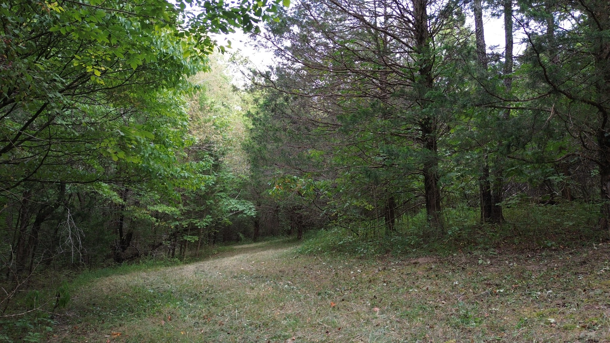2125 Whitson Bend Road Centerville, TN 37033 - Photo 37 of 44 Gallery Image 37