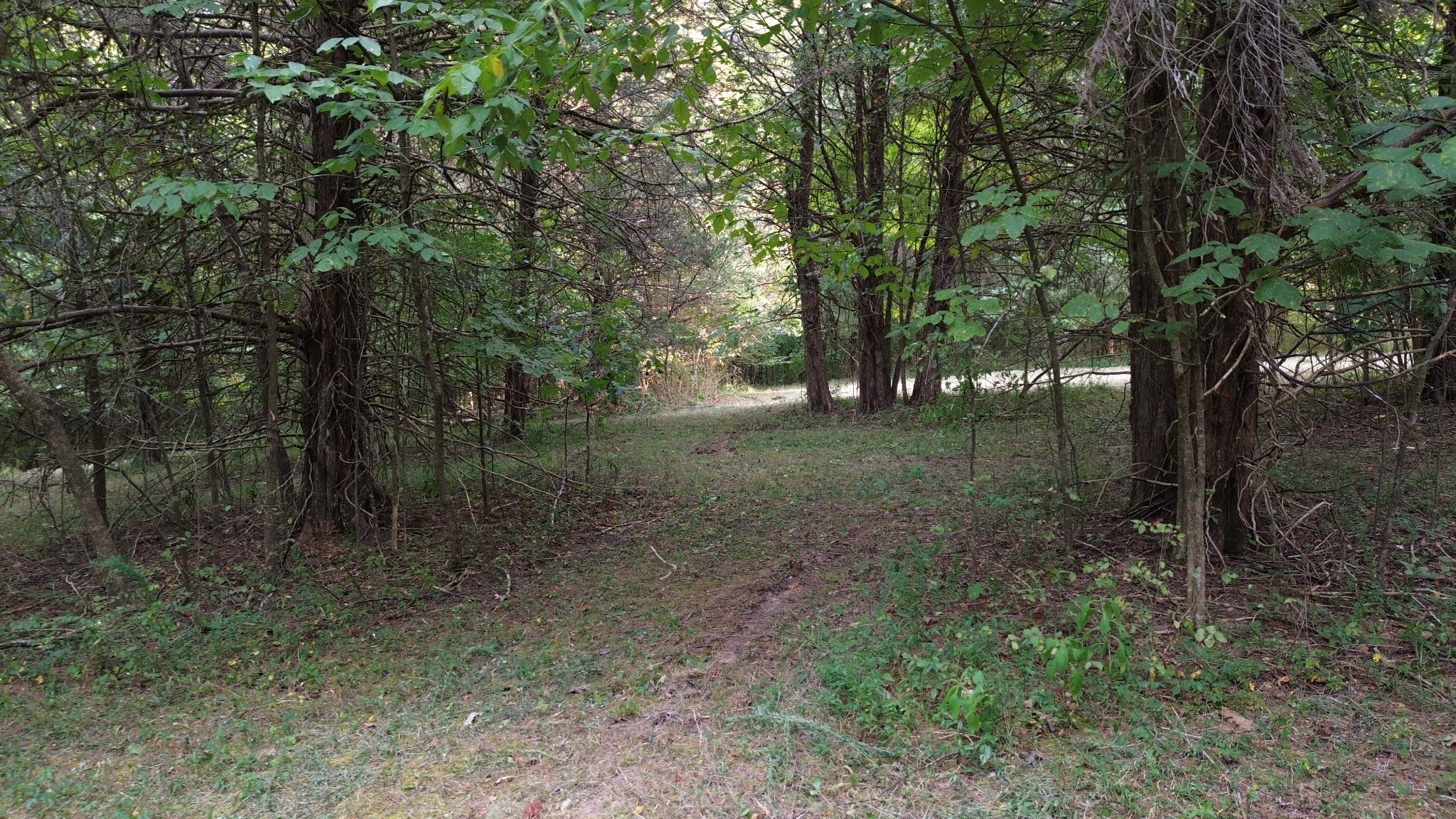 2125 Whitson Bend Road Centerville, TN 37033 - Photo 38 of 44 Gallery Image 38