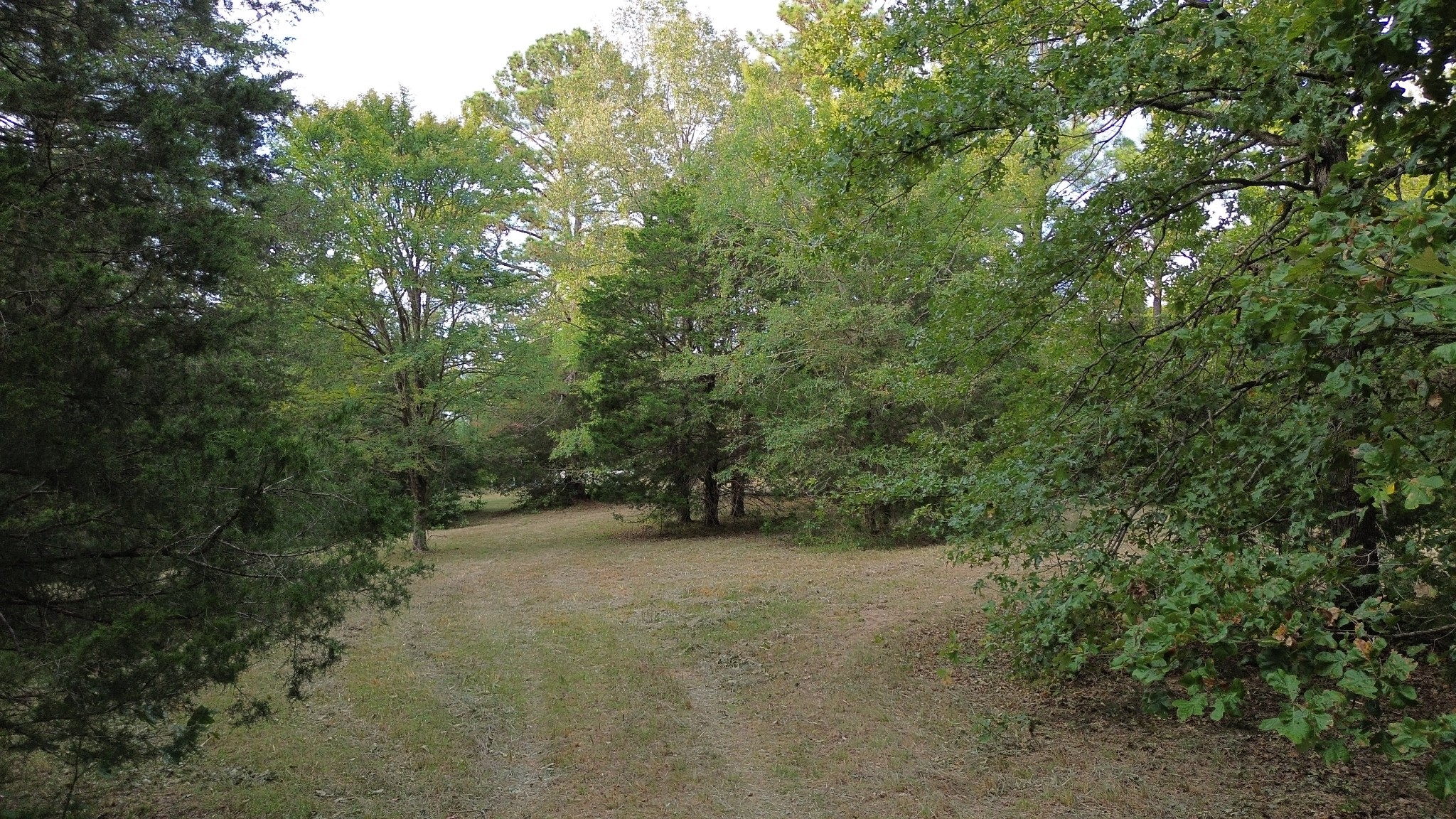 2125 Whitson Bend Road Centerville, TN 37033 - Photo 4 of 44 Gallery Image 4