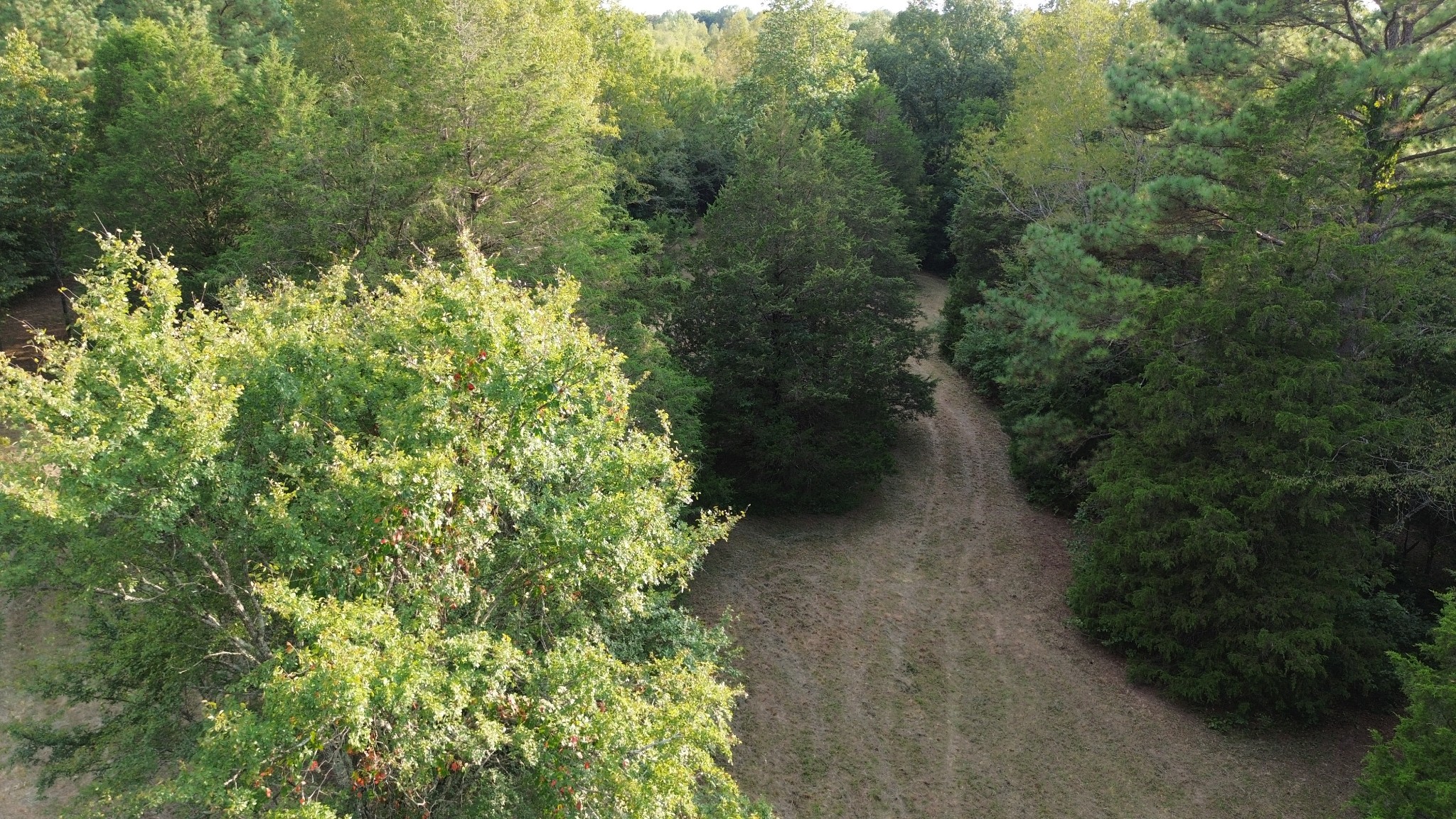 2125 Whitson Bend Road Centerville, TN 37033 - Photo 43 of 44 Gallery Image 43