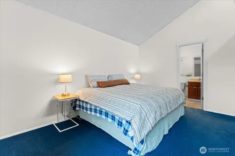 a view of a backyard with potted plants and large tree