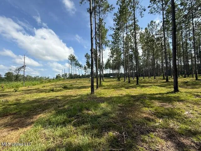 $320,000 | 401 Montgomery Road Southwest, Summit, MS 39666