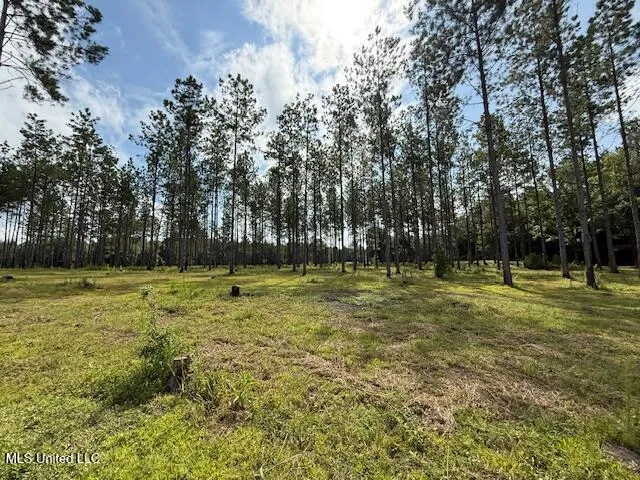 $320,000 | 401 Montgomery Road Southwest, Summit, MS 39666