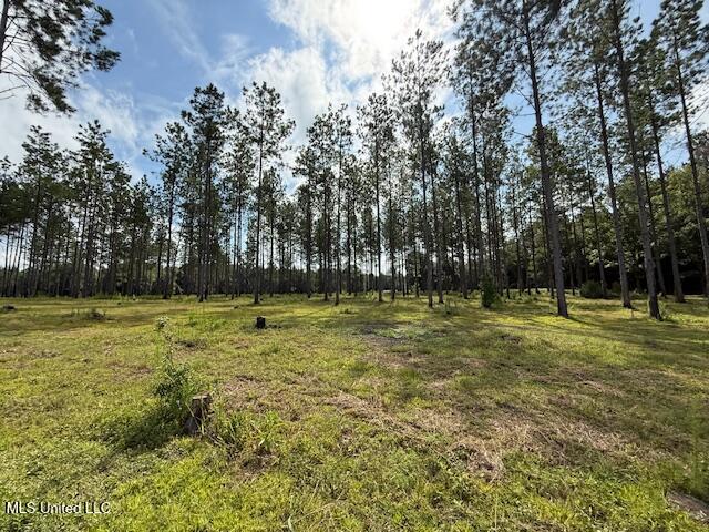 401 Montgomery Road Southwest Summit, MS 39666 - Photo 16 of 24 IMG_5888