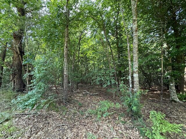 401 Montgomery Road Southwest Summit, MS 39666 - Photo 17 of 24 IMG_5896