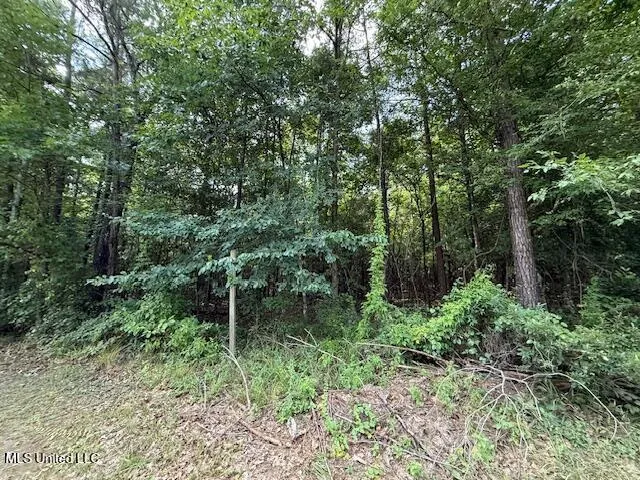 $320,000 | 401 Montgomery Road Southwest, Summit, MS 39666