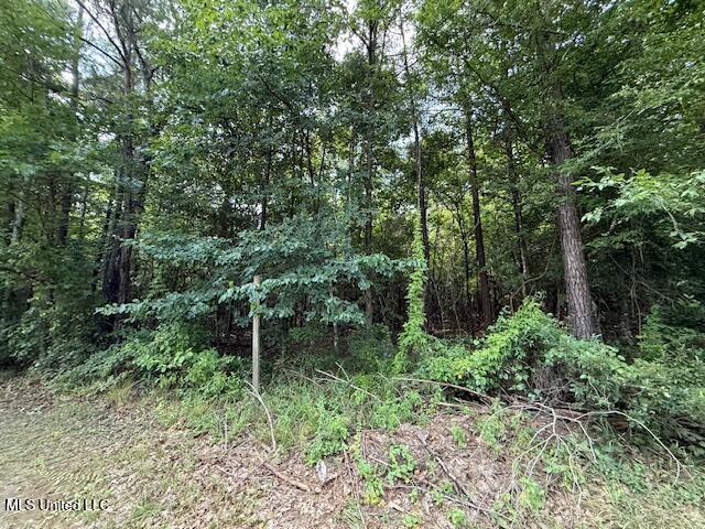 401 Montgomery Road Southwest Summit, MS 39666 - Photo 18 of 24 IMG_5898