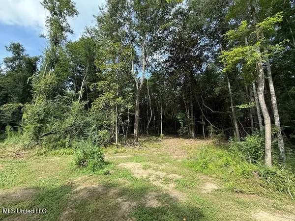 $299,000 | 401 Montgomery Road Southwest, Summit, MS 39666