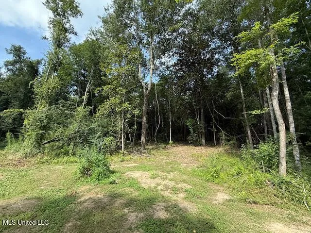 $320,000 | 401 Montgomery Road Southwest, Summit, MS 39666