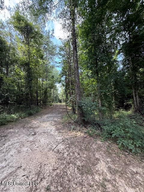 401 Montgomery Road Southwest Summit, MS 39666 - Photo 20 of 24 IMG_5901